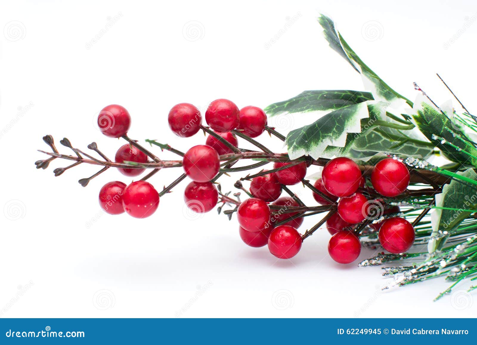 Christmas Berries Decoration Stock Image Image of isolated