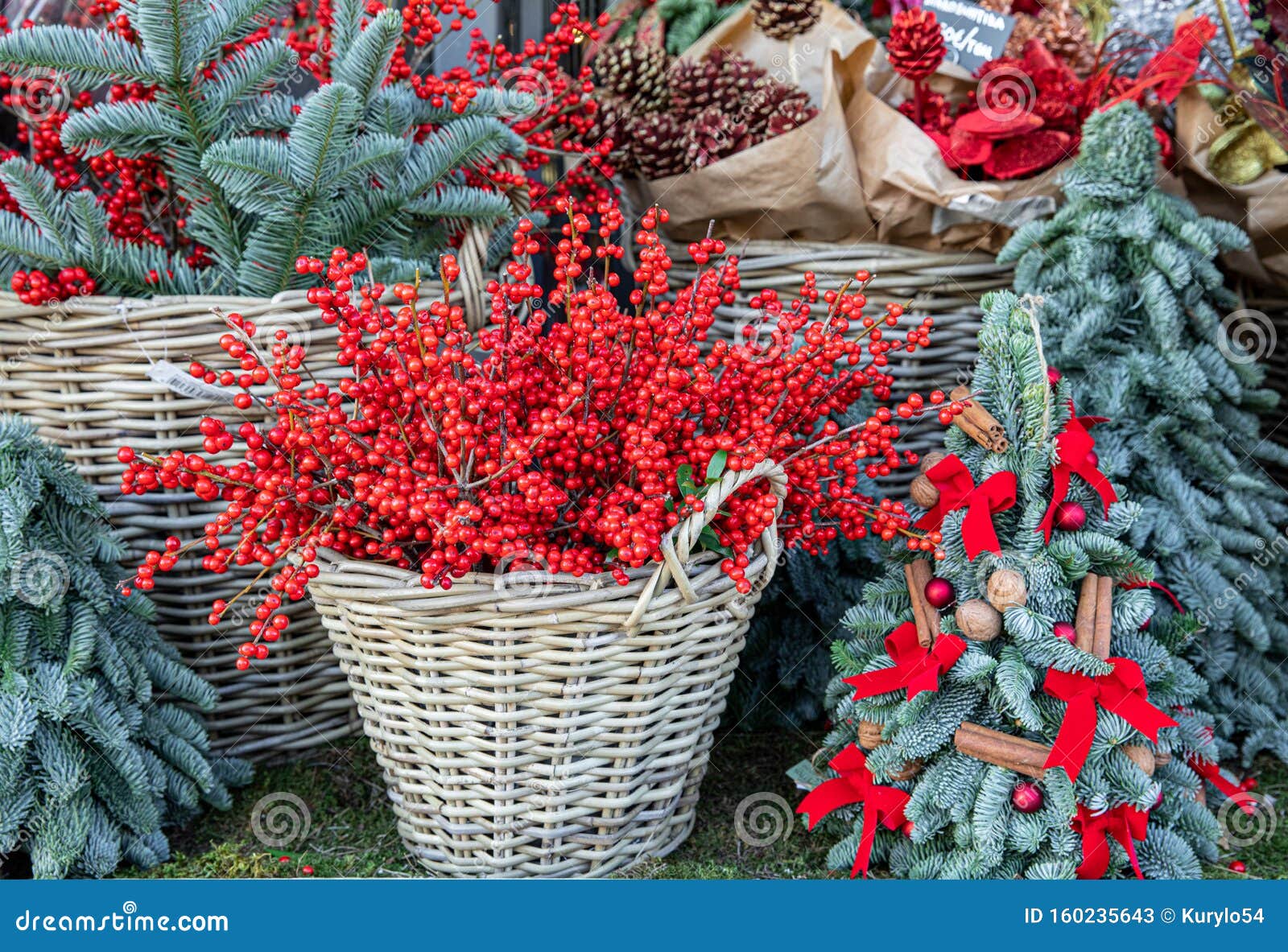 Christmas Berry Holly or Ilex Twigs and Blue Spruce Twigs in Wicker ...