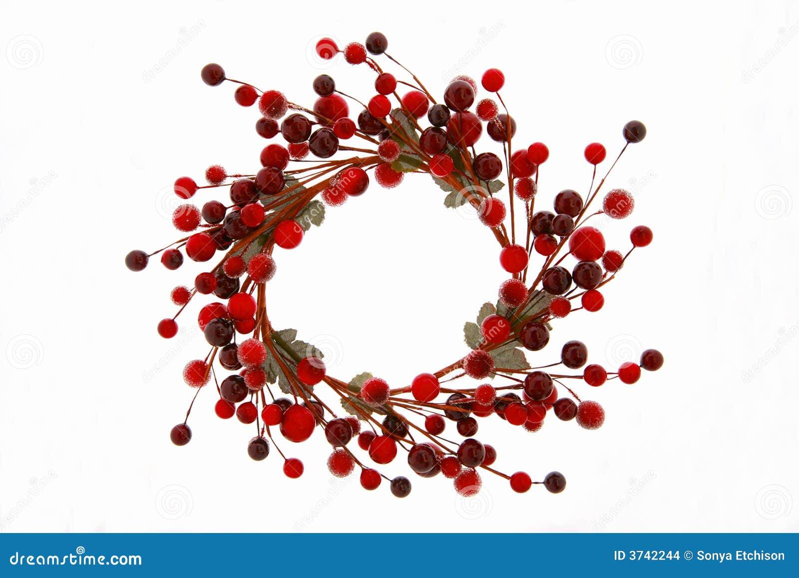 Christmas Berry Wreath Stock Images Image 3742244