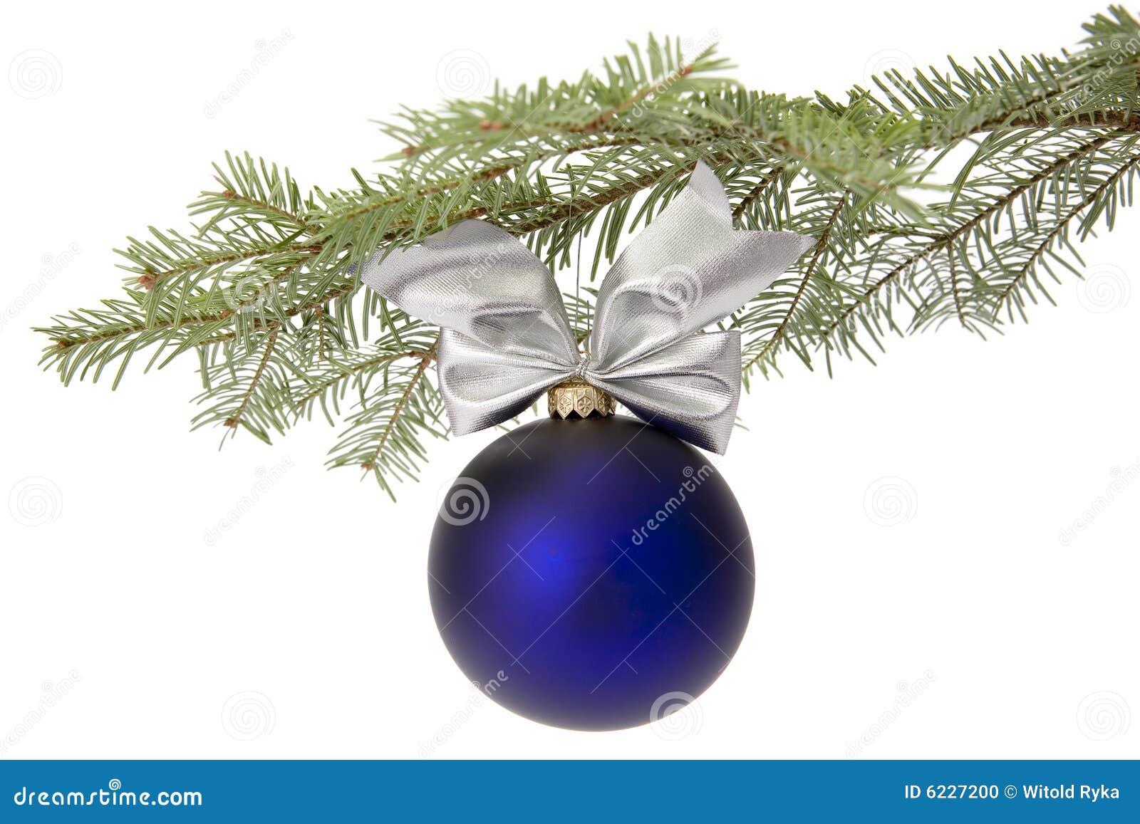 Christmas Blue Bauble on Tree Branch Stock Photo Image of ornament, white 6227200