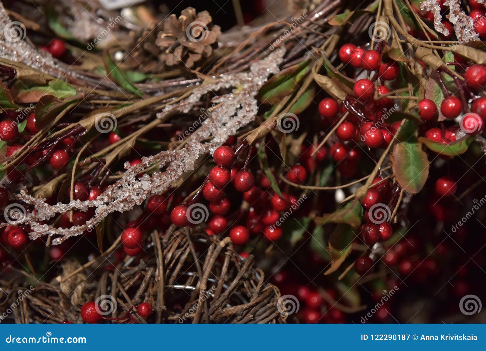 christmas branches with red berries