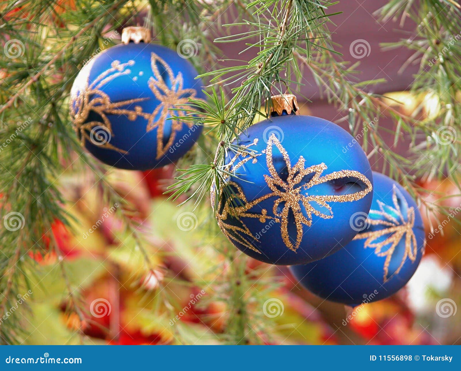 Christmas bubbles stock photo. Image of glass, branch 11556898