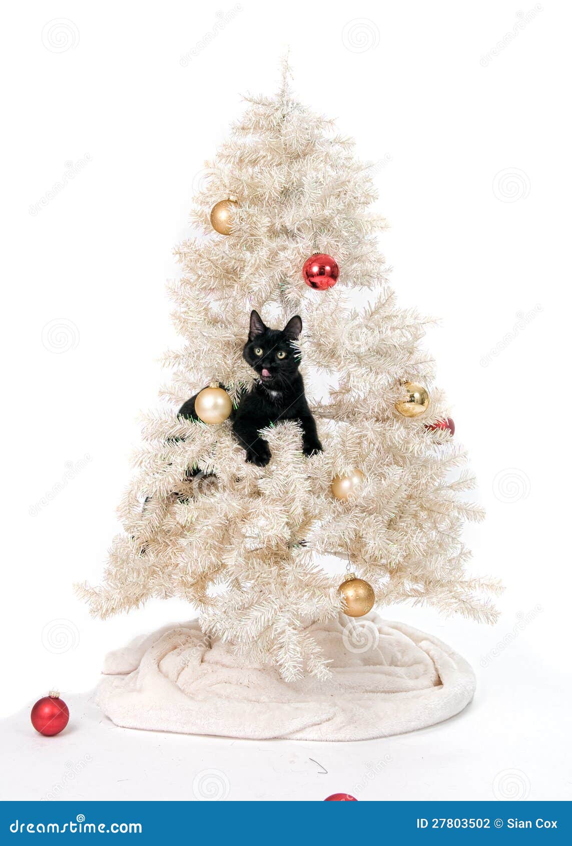 Christmas cat. Adorable mischievous black cat in a christmas tree