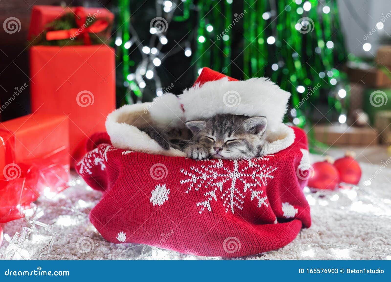 Christmas Cat Wearing Santa Claus Hat Holding Gift Box Sleeping On Plaid Under Christmas Tree Christmas Presents Concept Cozy Stock Image Image Of Kitten Kitty 165576903