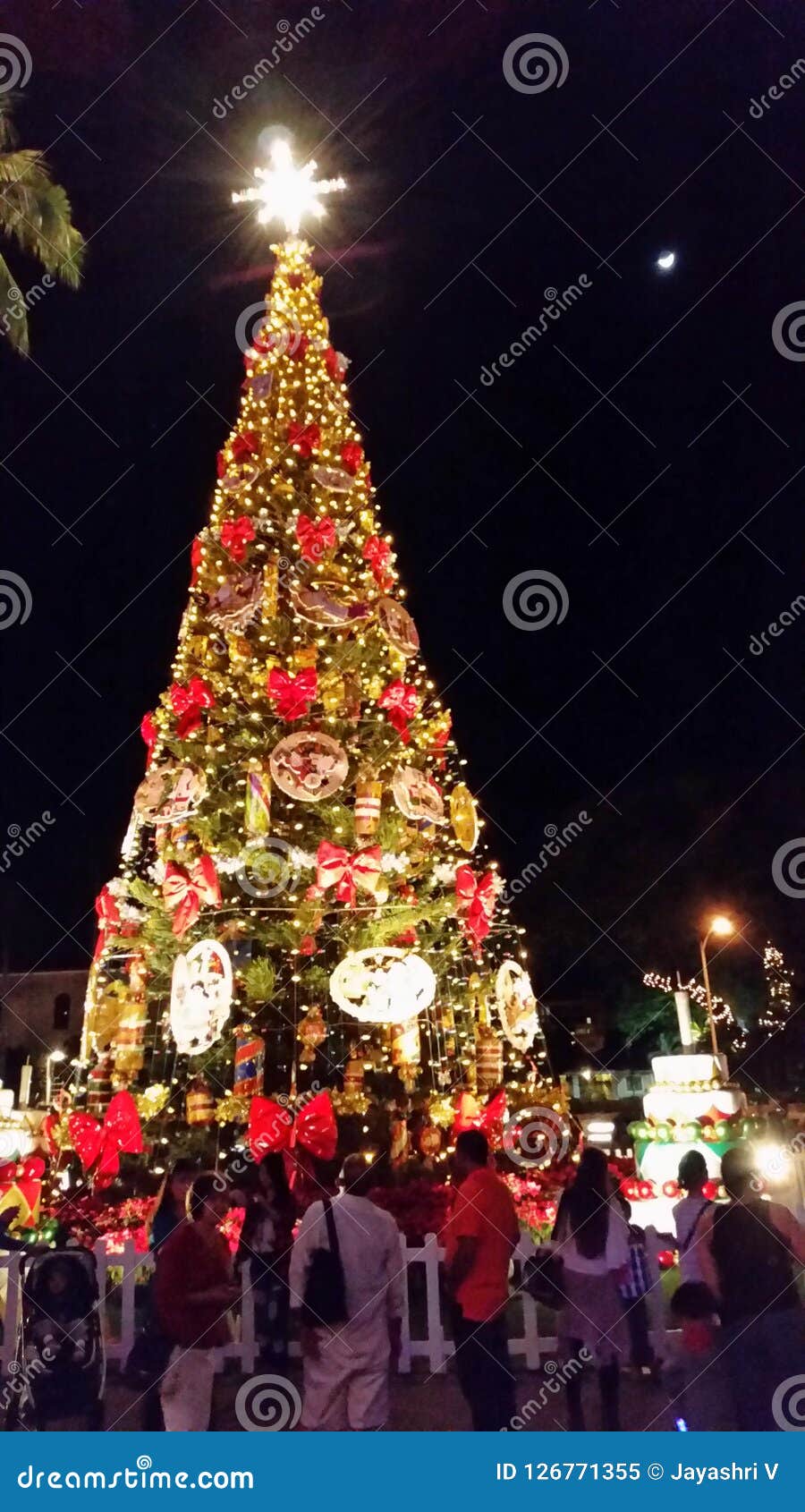 Christmas Celebration in Honolulu Oahu Hawaii Editorial Image Image