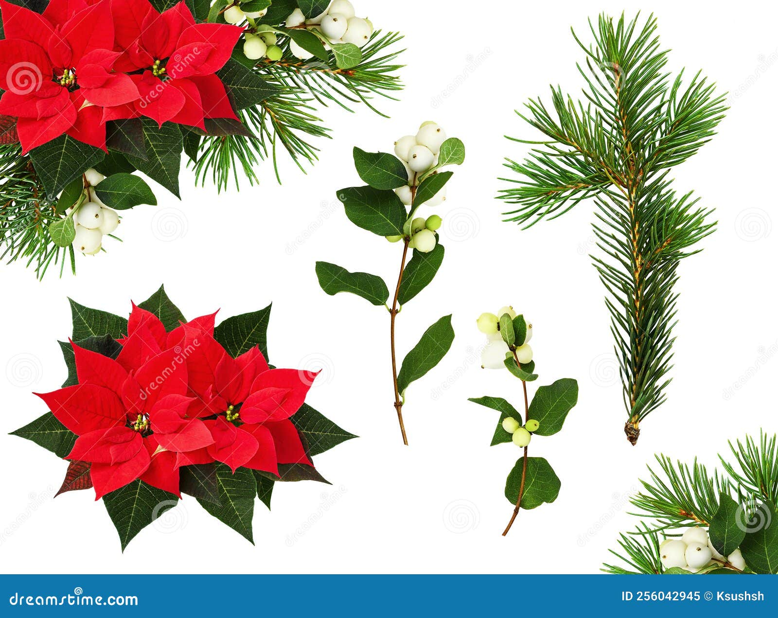 Christmas Corner Floral Arrangements and Set of Elements Isolated Stock