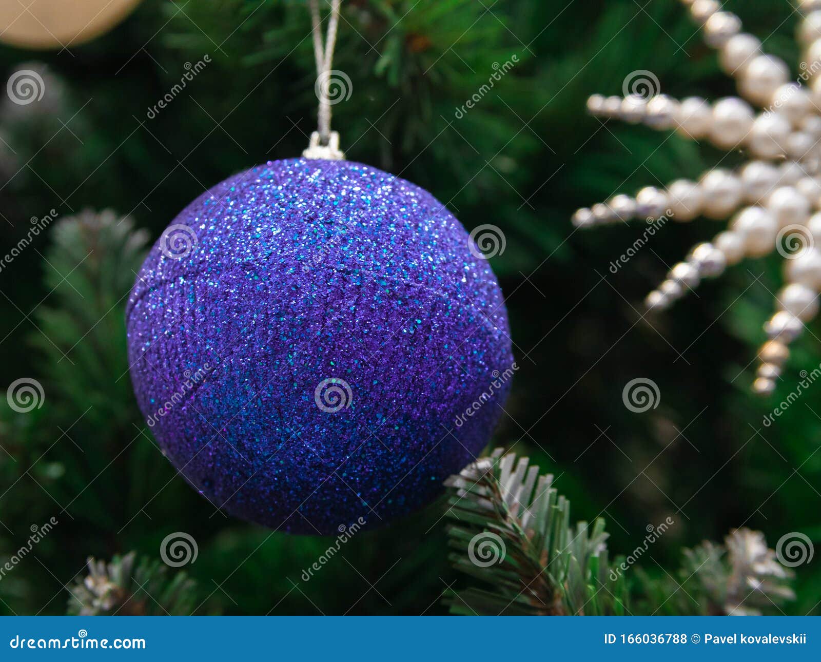 Christmas Dark Blue Shiny Ball Hanging on the Green Branch of the Tree ...