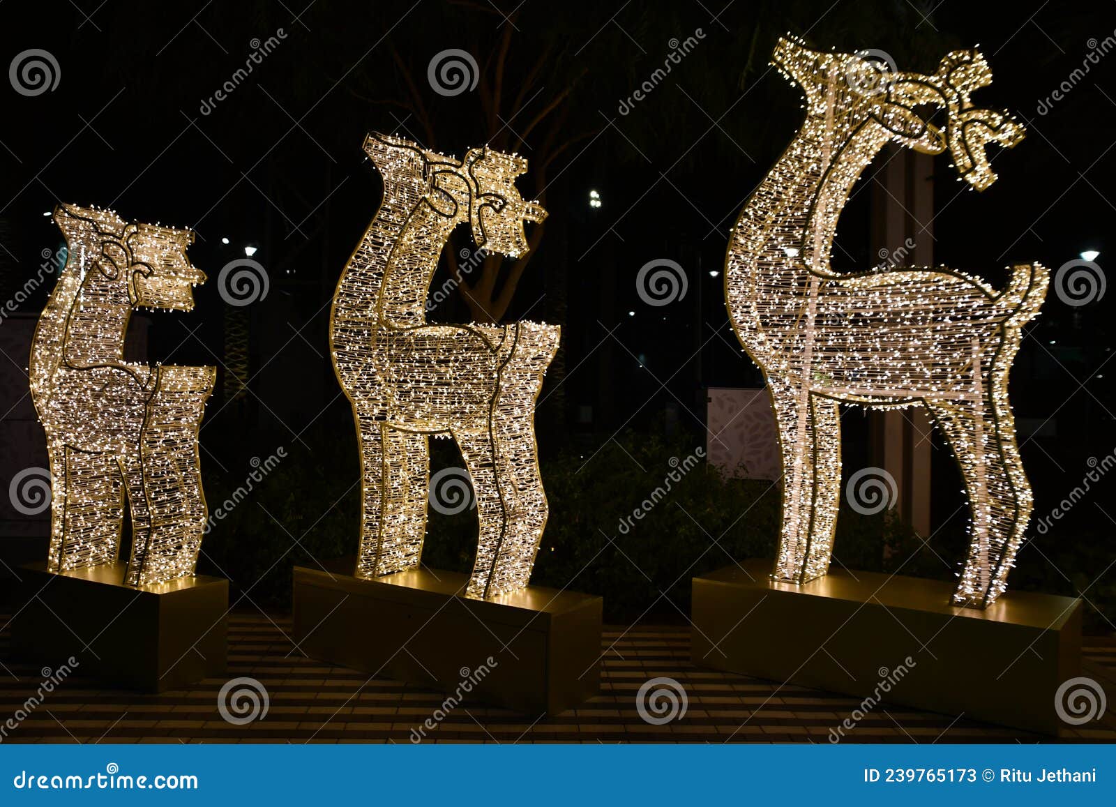 Christmas Decor at Expo 2020 in Dubai, UAE Editorial Stock Photo