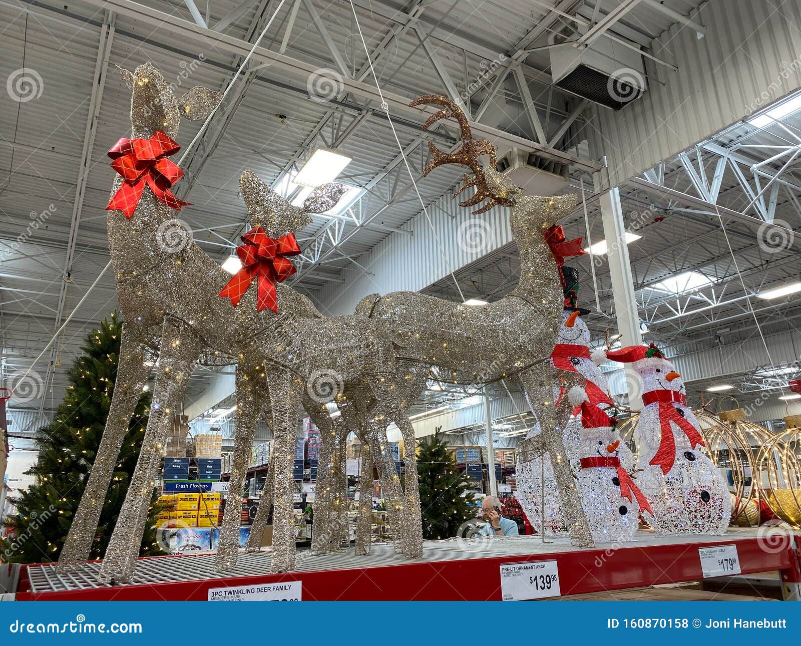 The Christmas Decoration Aisle of a Sams Club Editorial Stock Photo - Image  of beautiful, holiday: 160870158