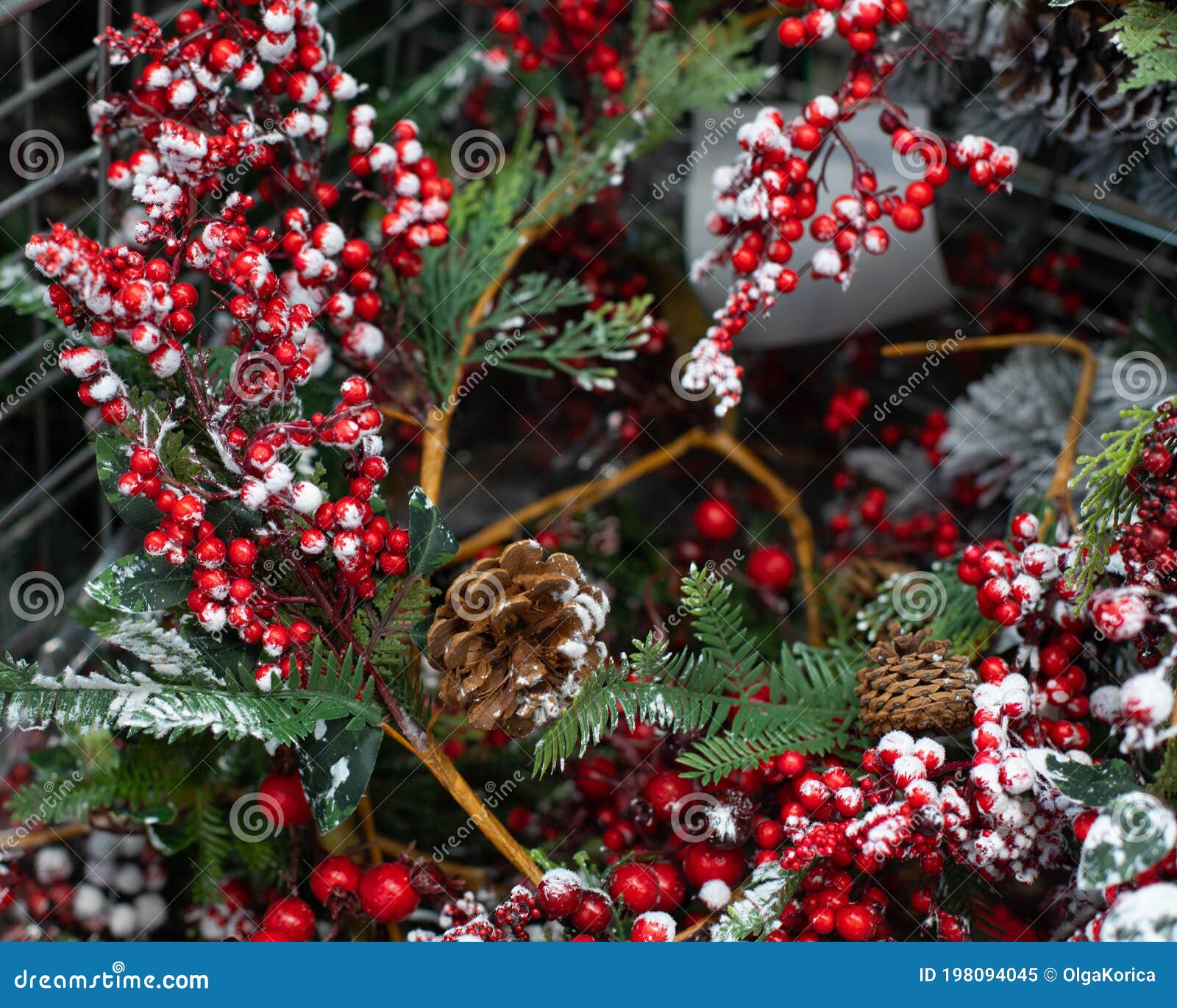 Christmas Decoration Background. Holly Branches with Berries in ...
