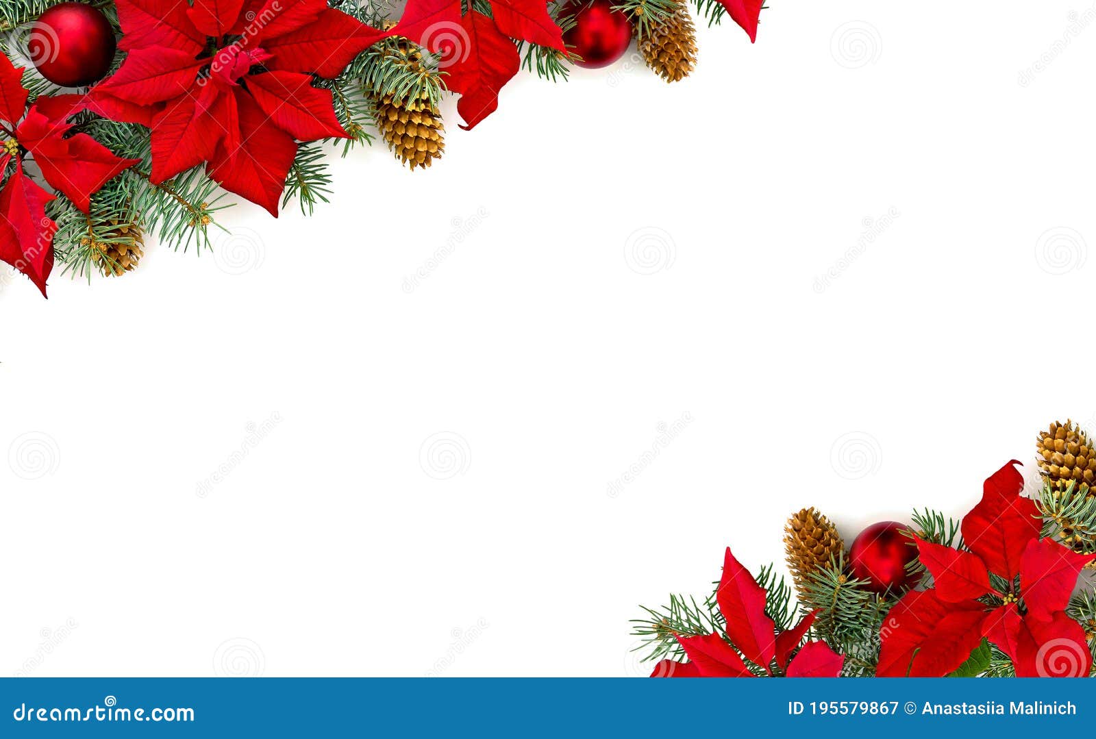 Christmas Decoration. Frame of Flower of Red Poinsettia, Branch ...