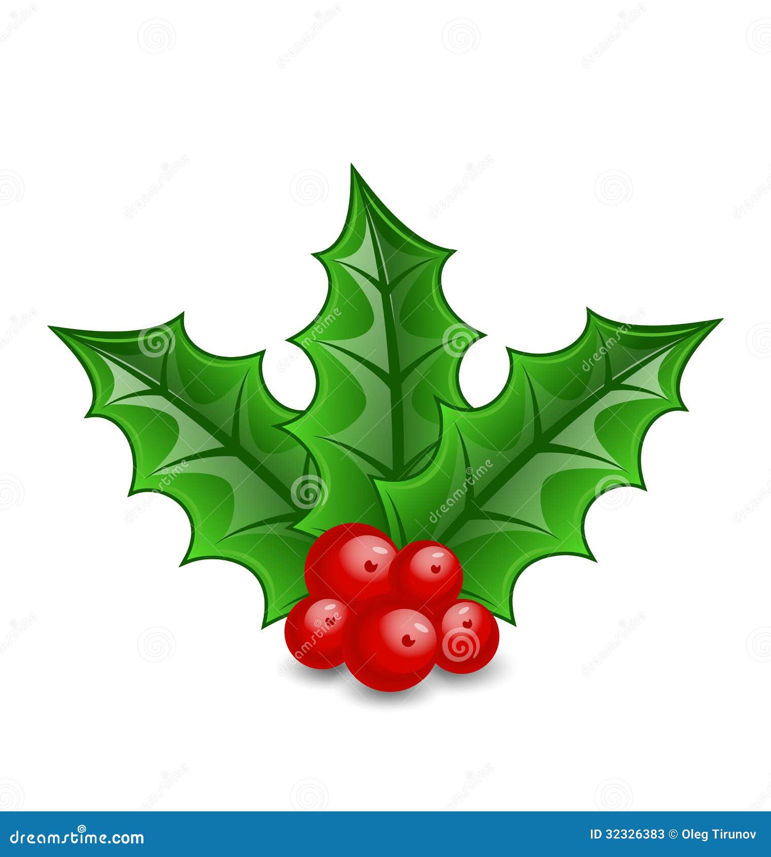 Christmas Decoration Holly Berry Branches Isolated Stock 