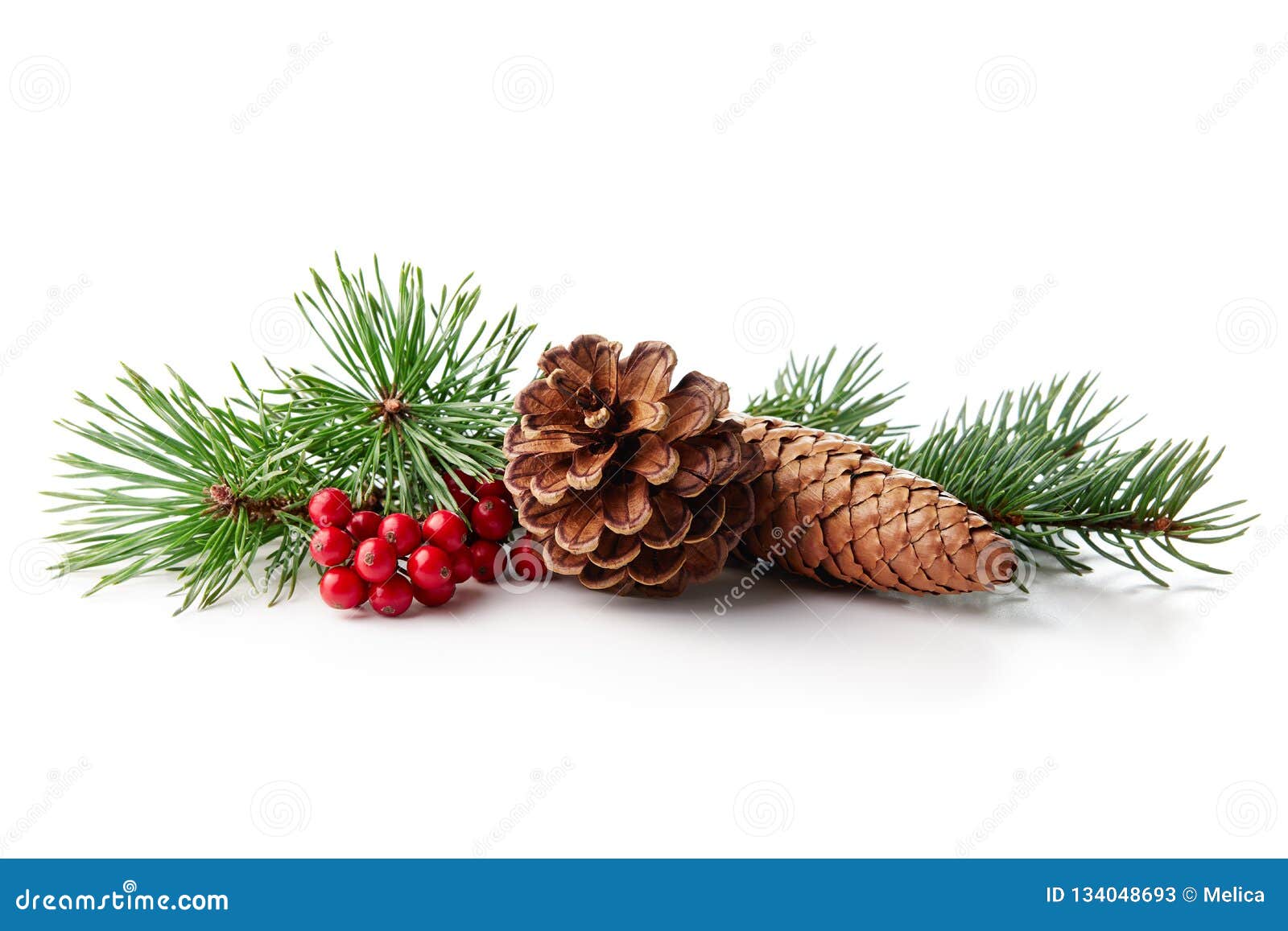 christmas decoration of holly berry and pine cone