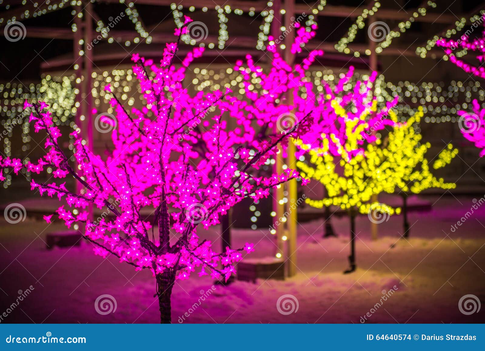 Christmas Decoration Lights on Trees Stock Photo - Image of night ...