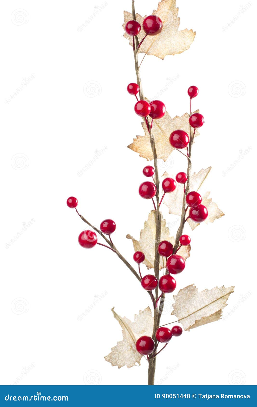 Christmas Decoration with Red Berries Stock Photo Image of brown