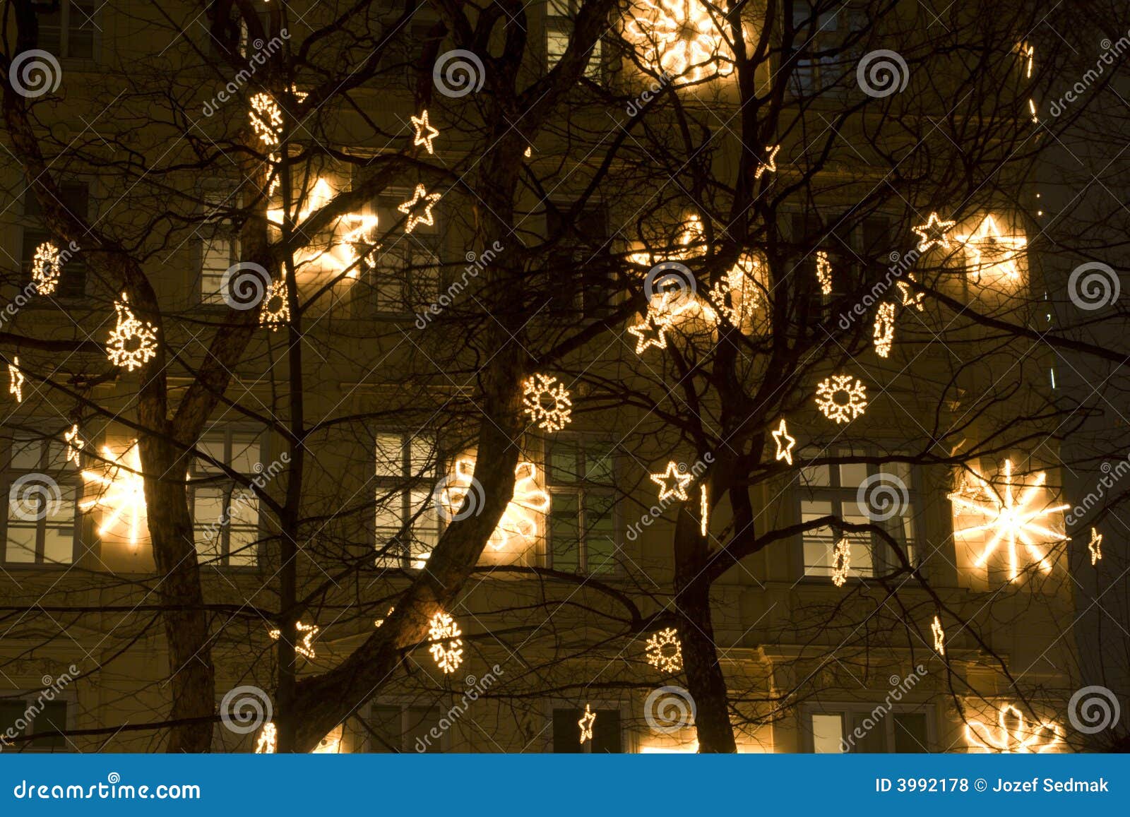  Christmas  Decoration  In Vienna  Stock Photo Image 3992178