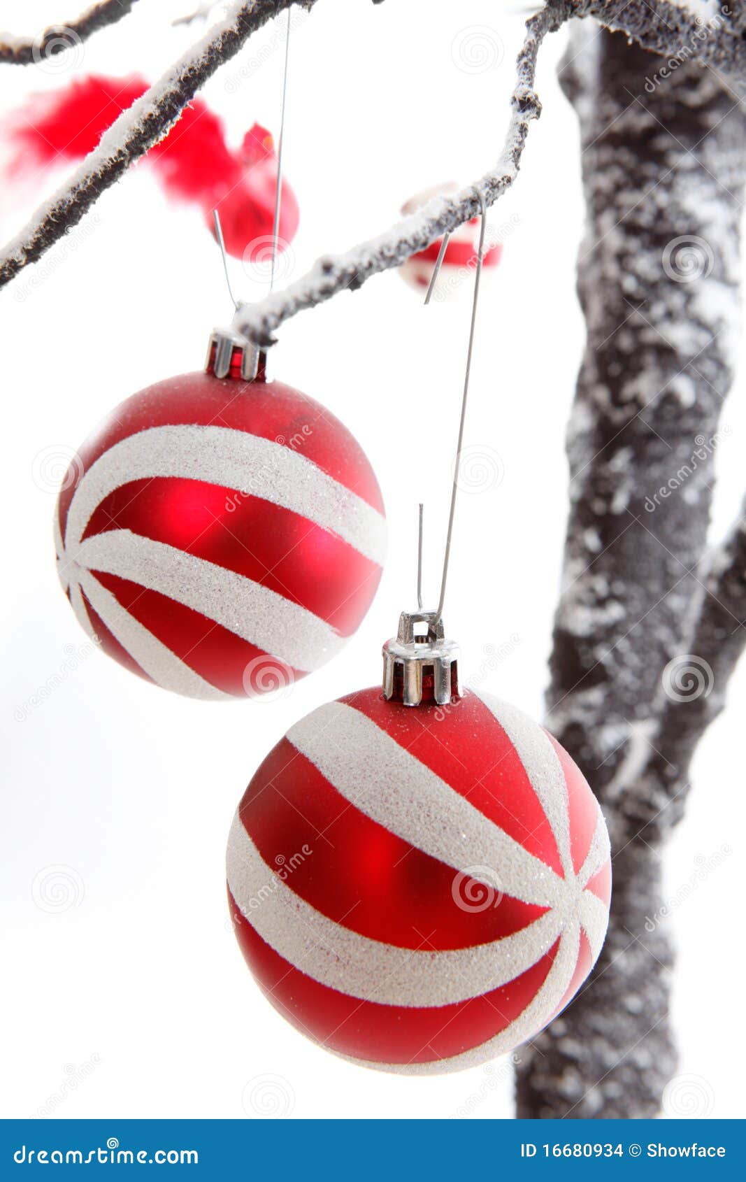 Christmas Decorations Baubles Stock Photo  Image of dangling, tree