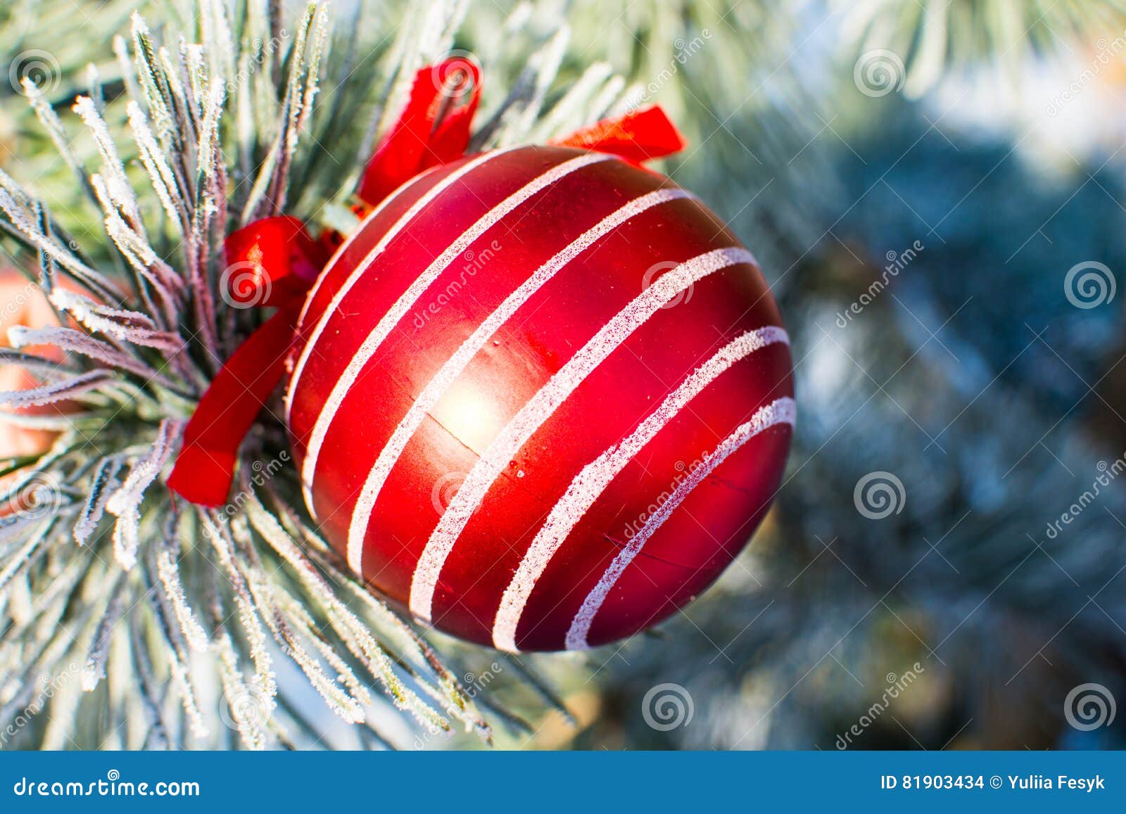 Christmas Decorations Big Red Ball on Xmas Tree Outdoor. Stock Photo ...