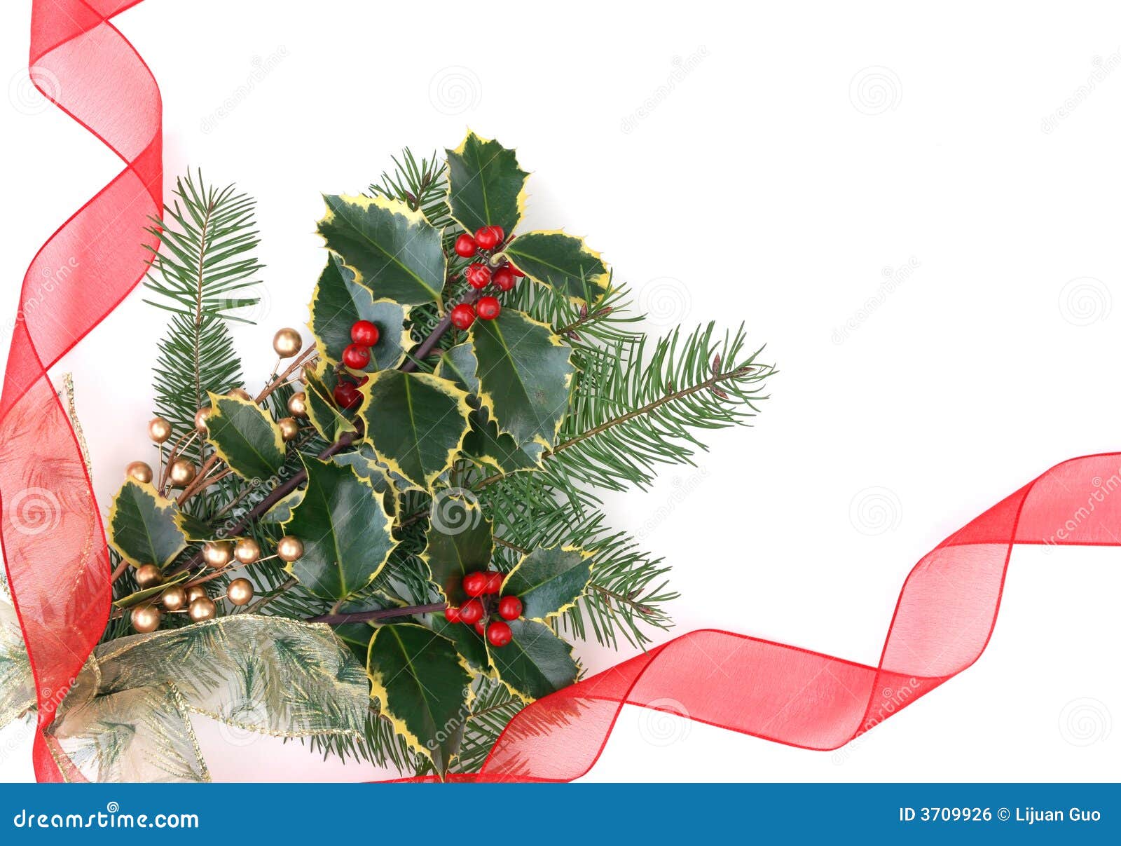 Christmas Decorations With Holly Berries Royalty Free 