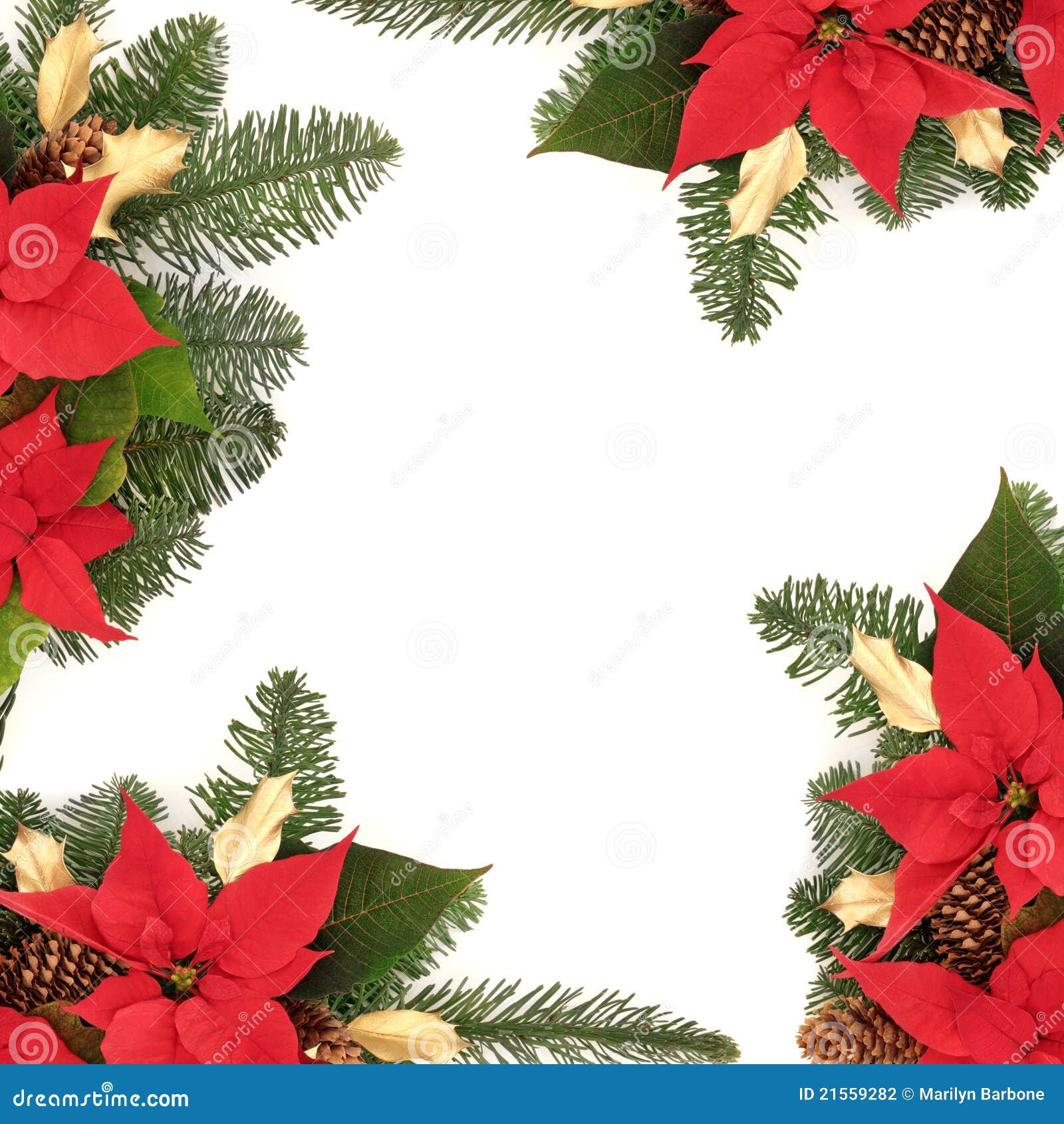 Christmas Decorative Border Stock Photo Image of border, christmas