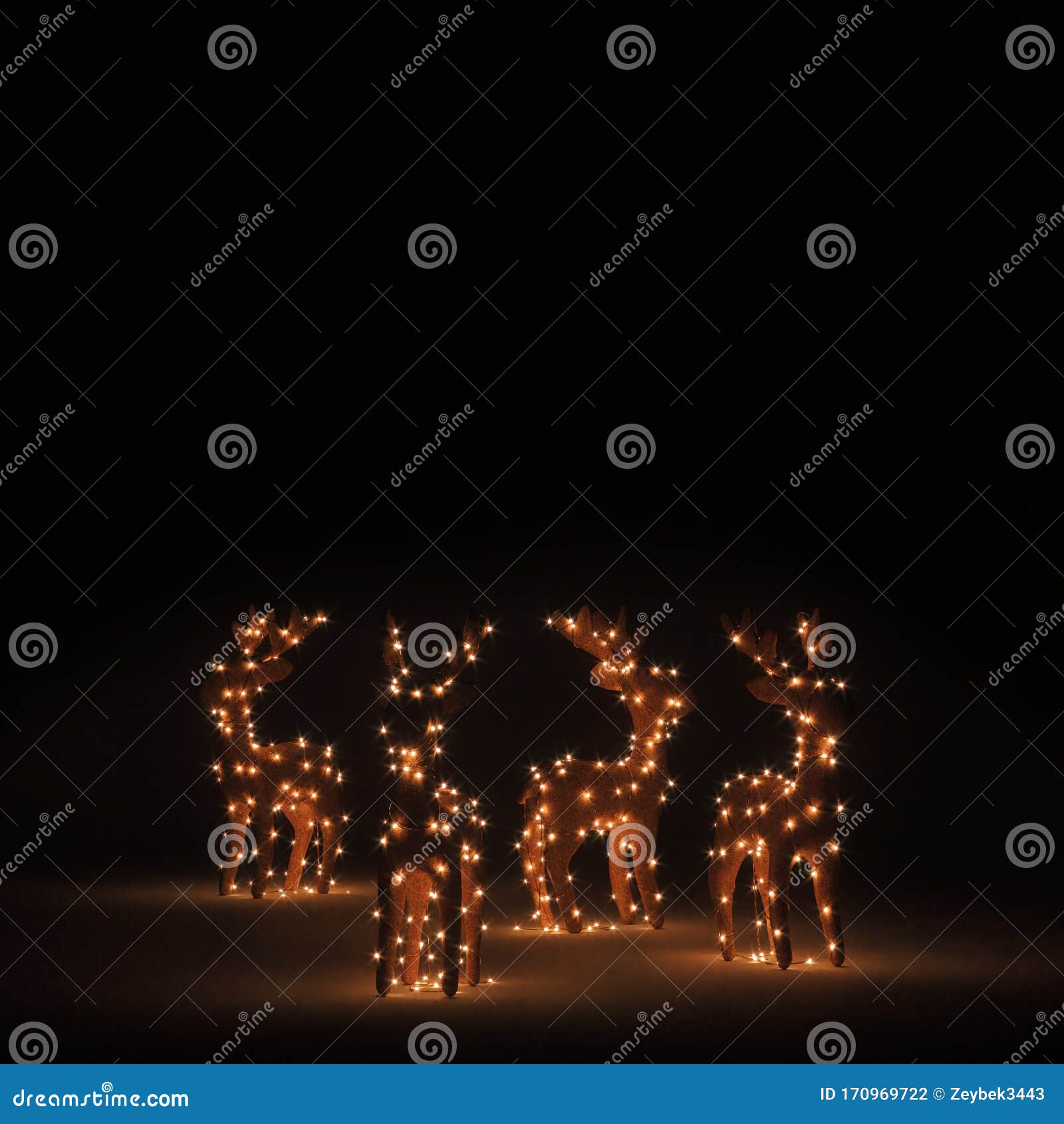 Christmas Deer Lights On Dark Background Stock Photo Image Of