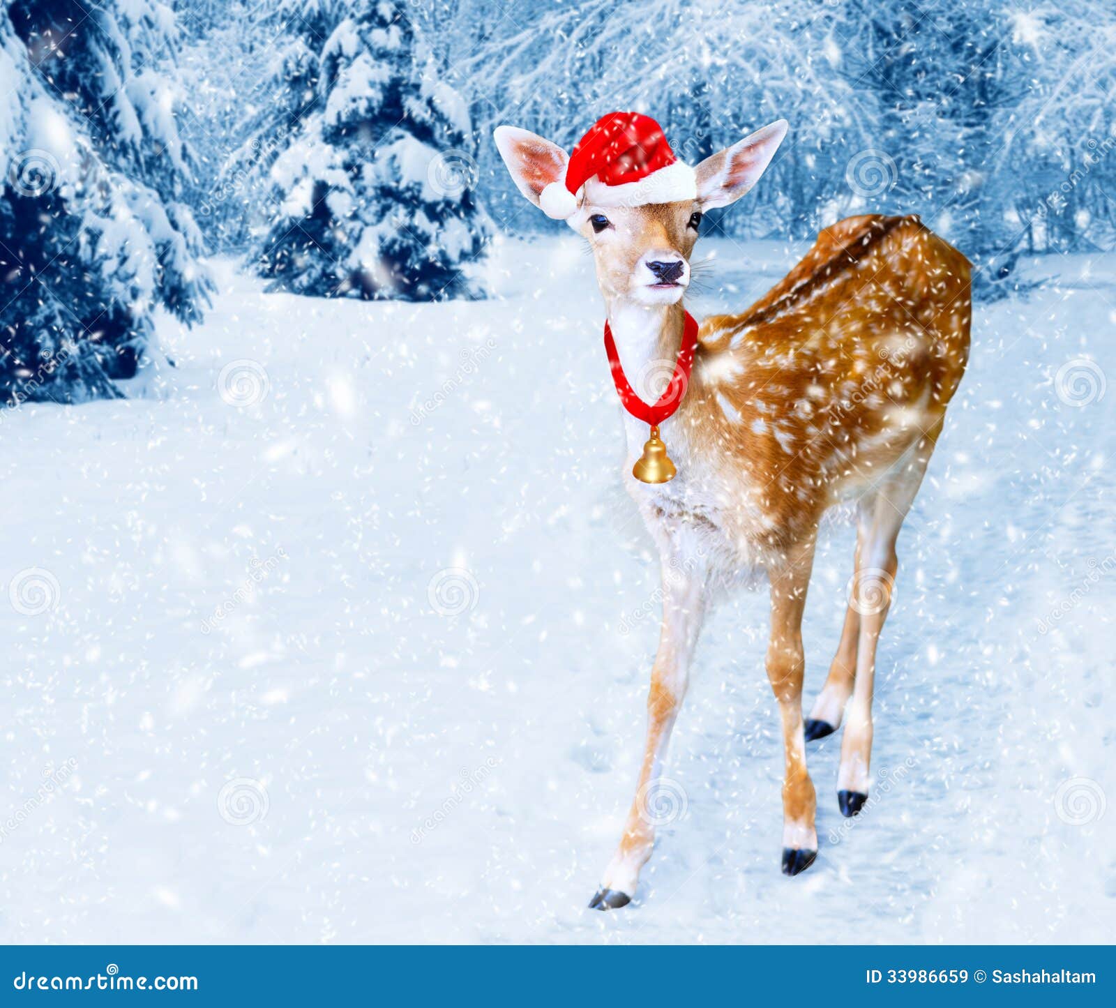 Christmas Deer in Winter Forest with Snow Fall Stock Image - Image of