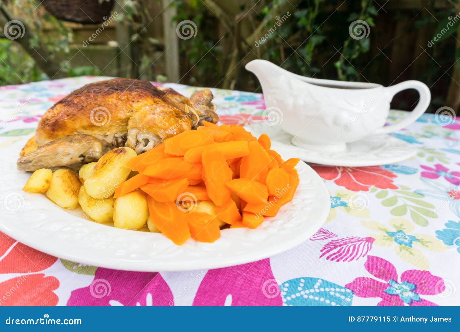 Christmas Dinner with Gravy Boat. Stock Image Image of eating, blankets 87779115