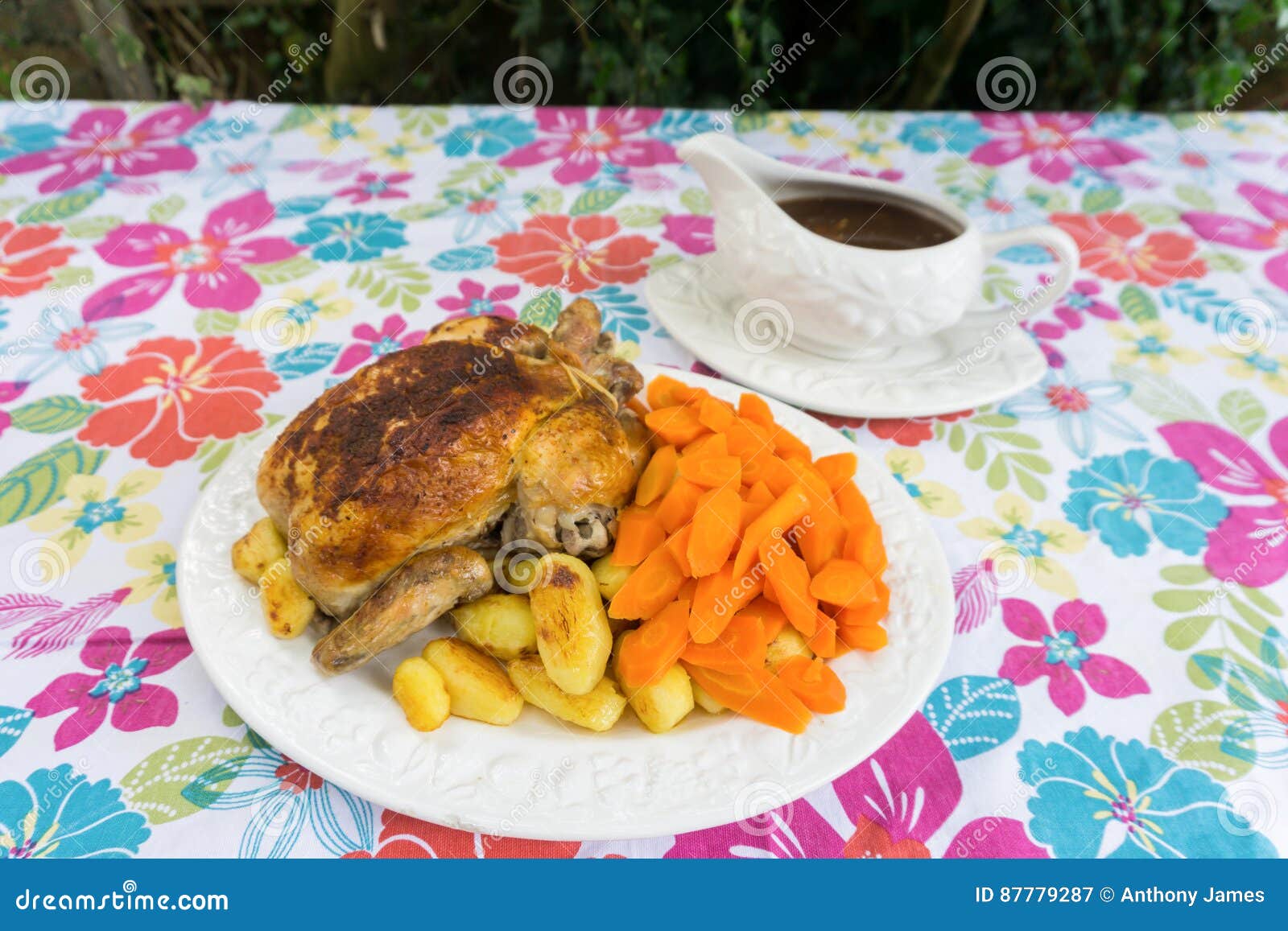 Christmas Dinner with Gravy Boat. Stock Image Image of dinners