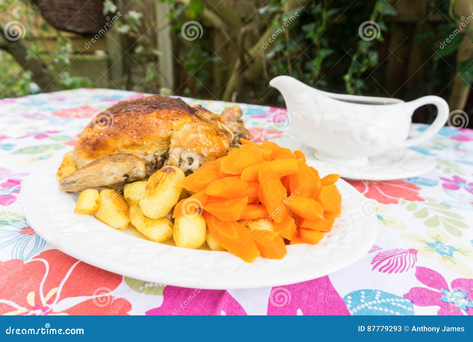 Christmas Dinner with Gravy Boat. Stock Image Image of food, meat