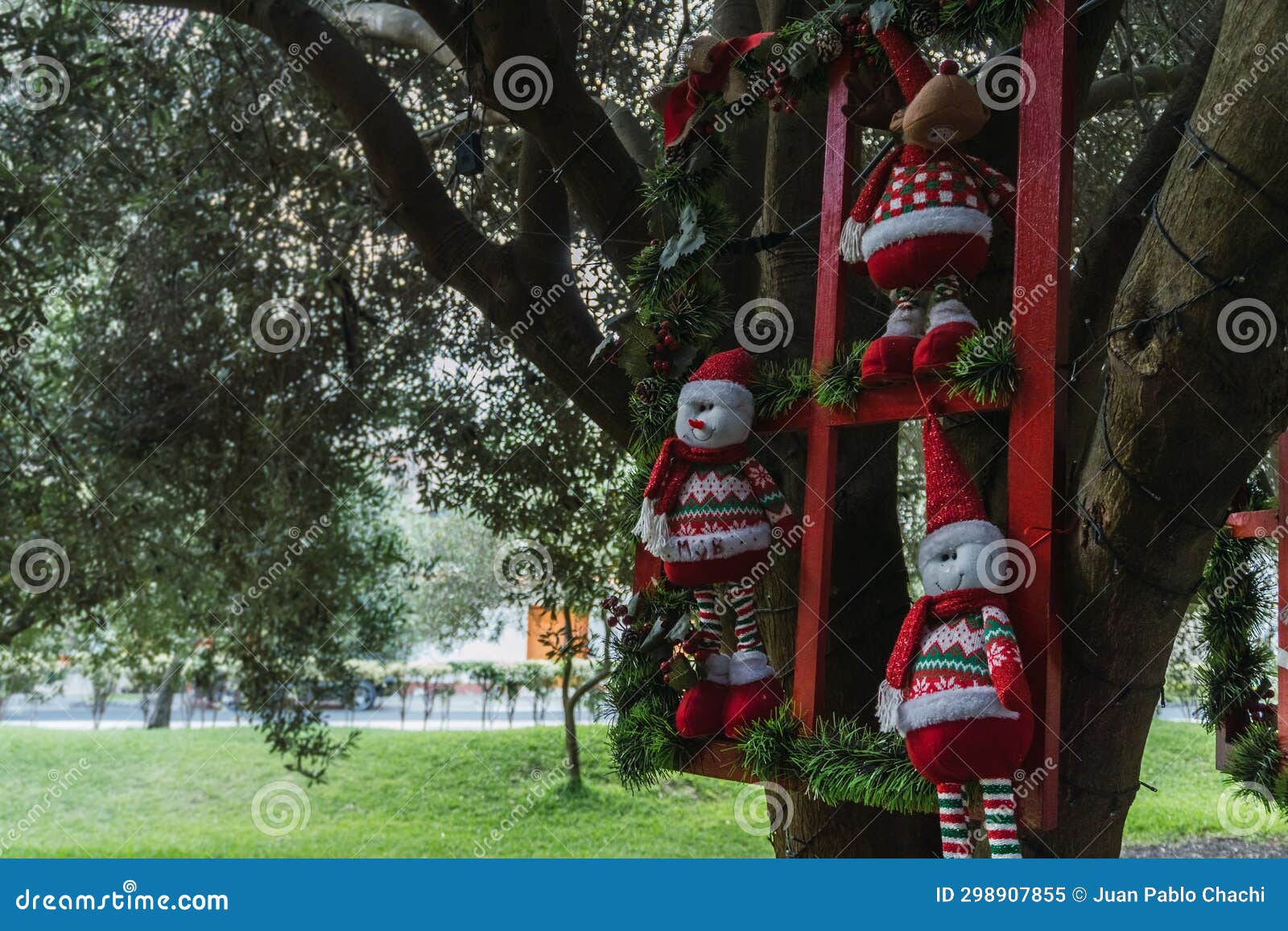 christmas dolls ganging from trees