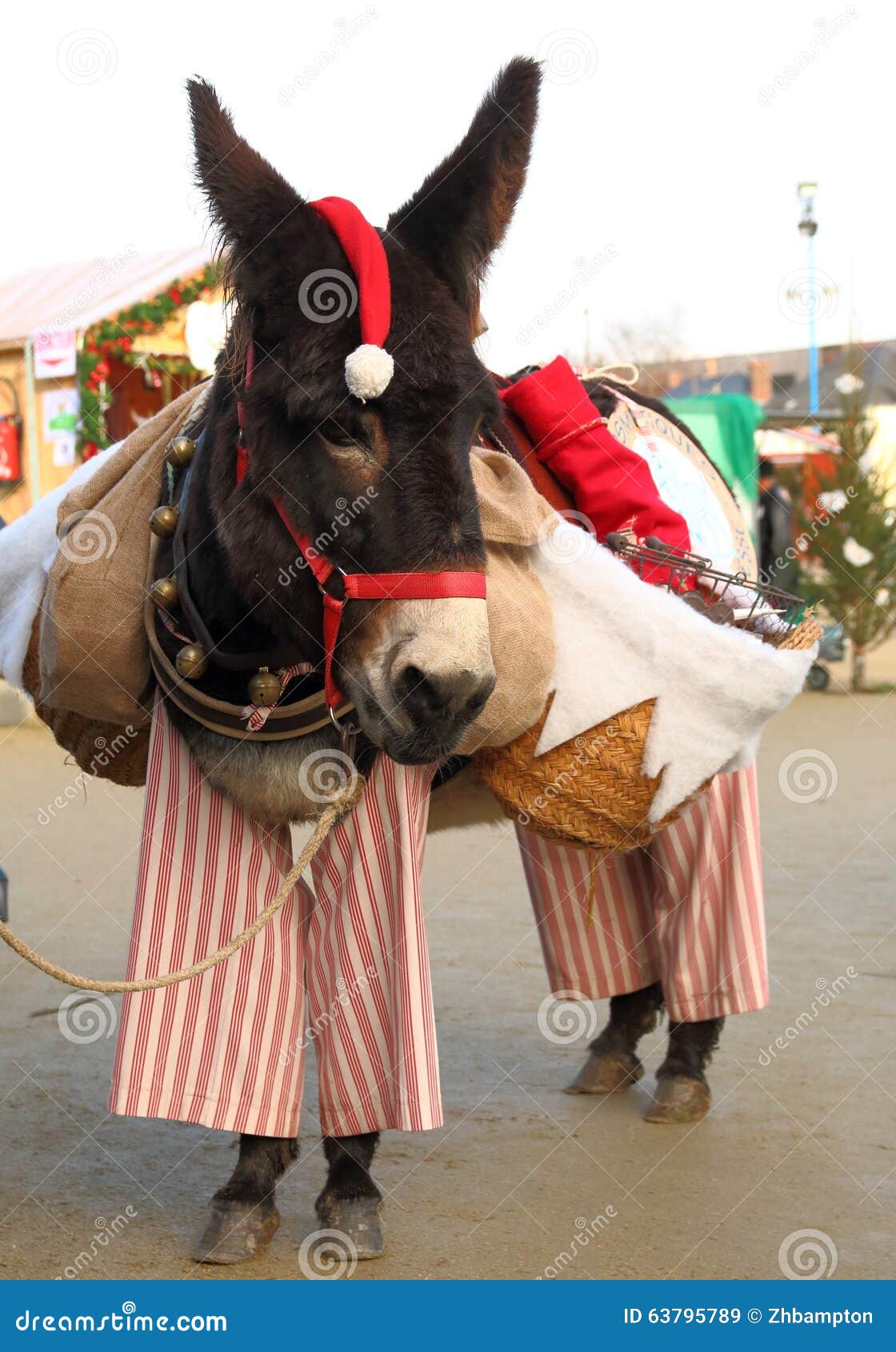 Christmas Donkey stock image. Image of wearing, basket 63795789