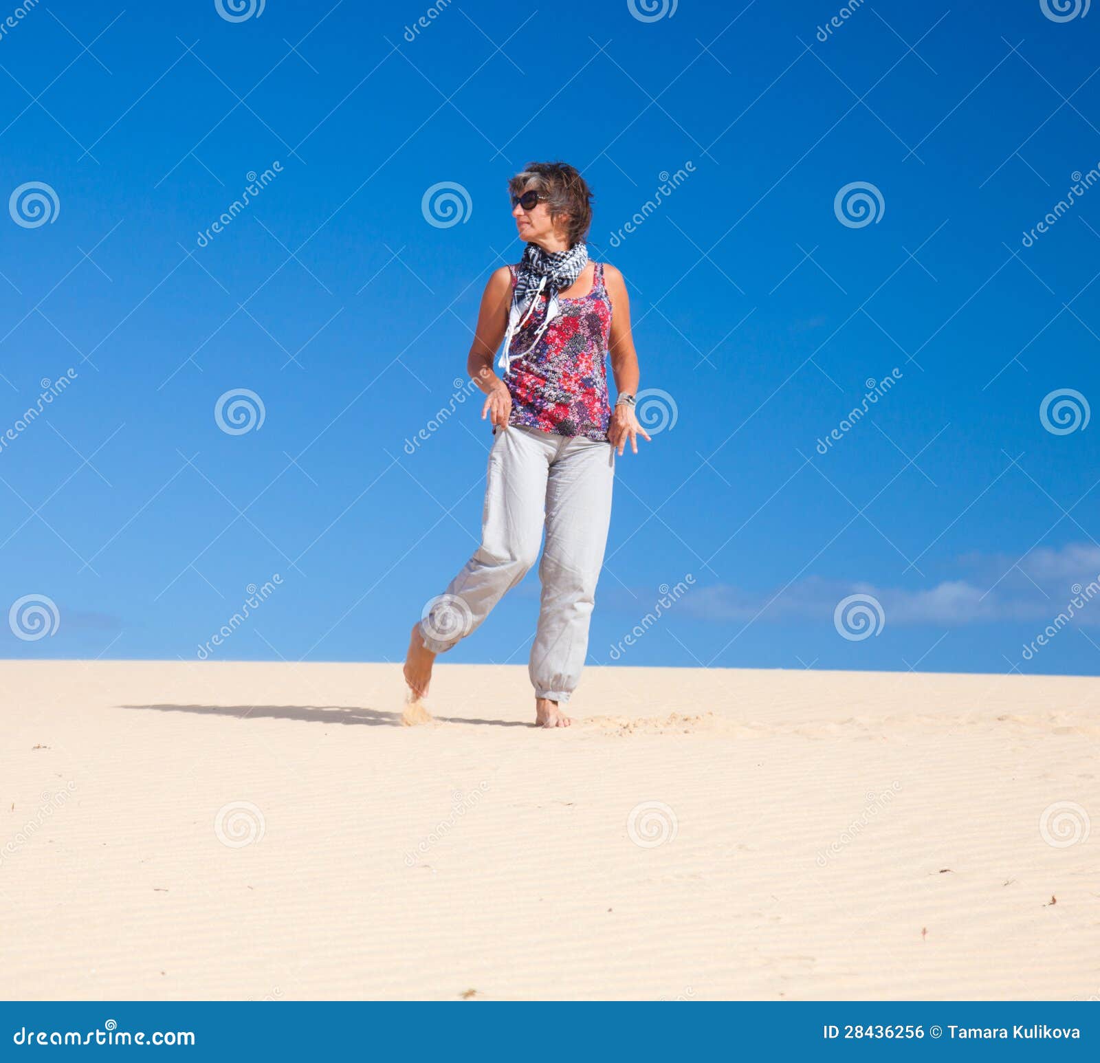 Christmas in the Dunes Photoshoot Stock Photo Image of sand, natural