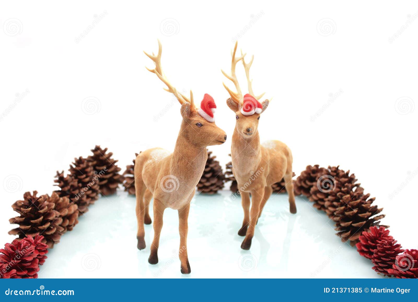 Christmas Elk. stock image. Image of reflection, white 21371385