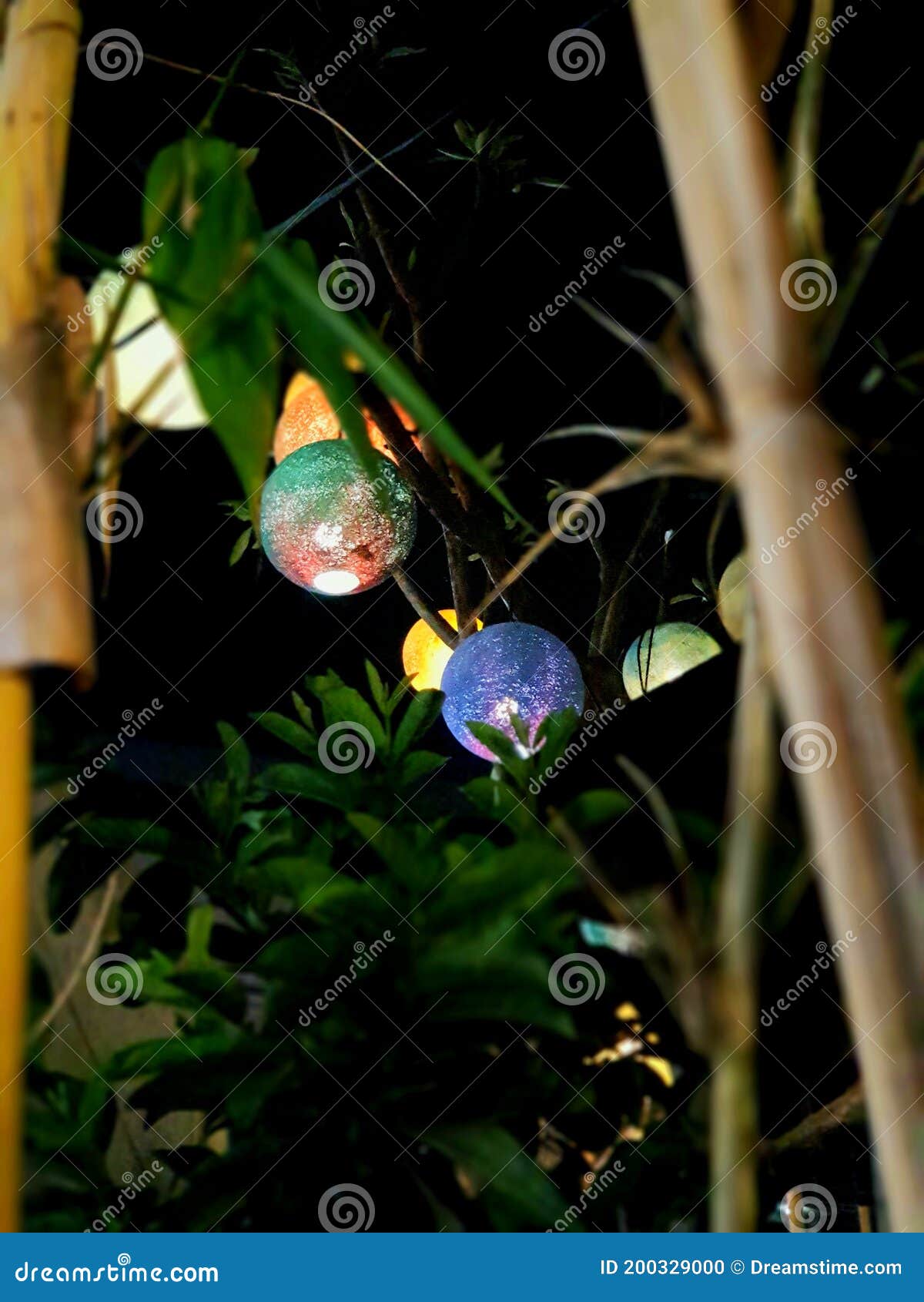 Christmas eve tree lights stock photo. Image of lights 200329000