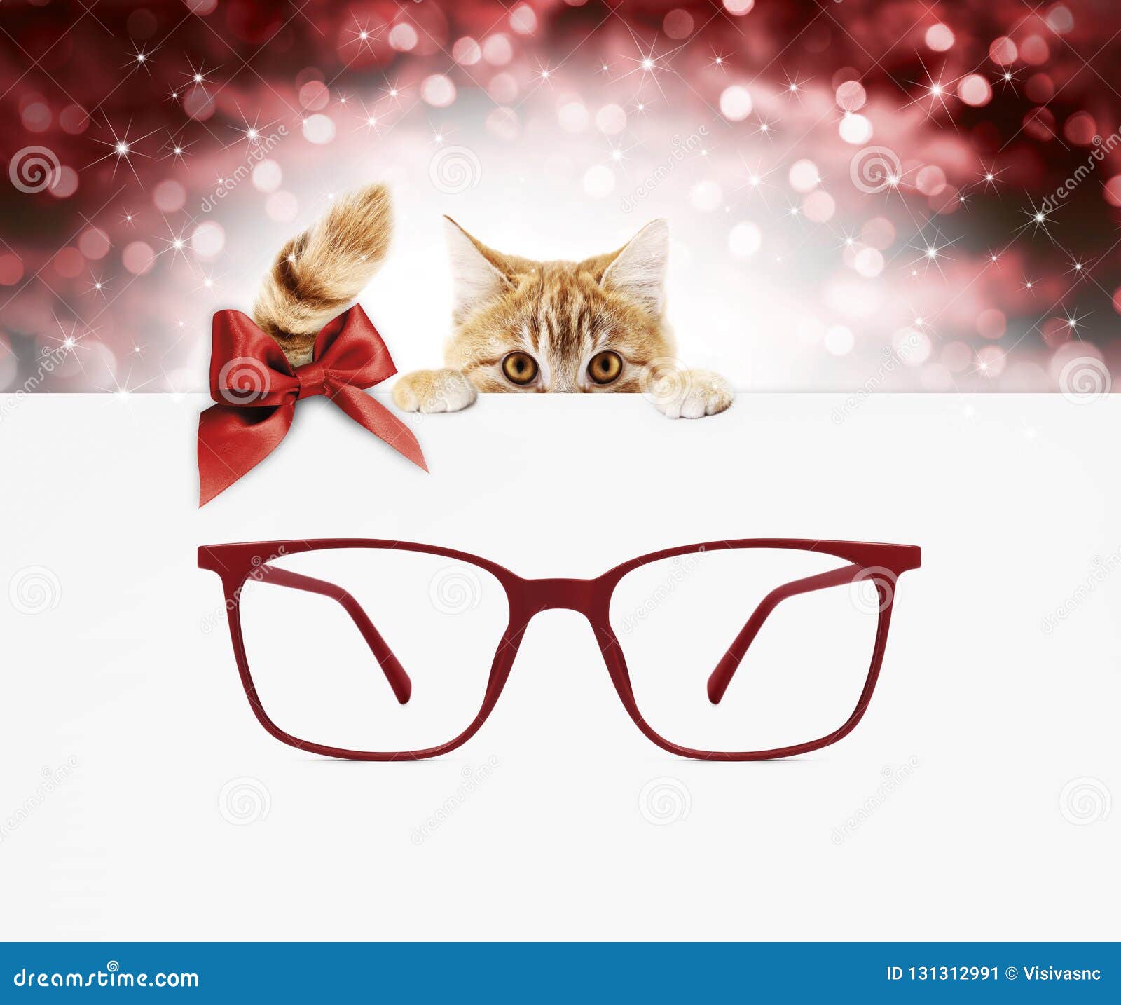christmas eyeglasses gift card, ginger cat with red spectacles a