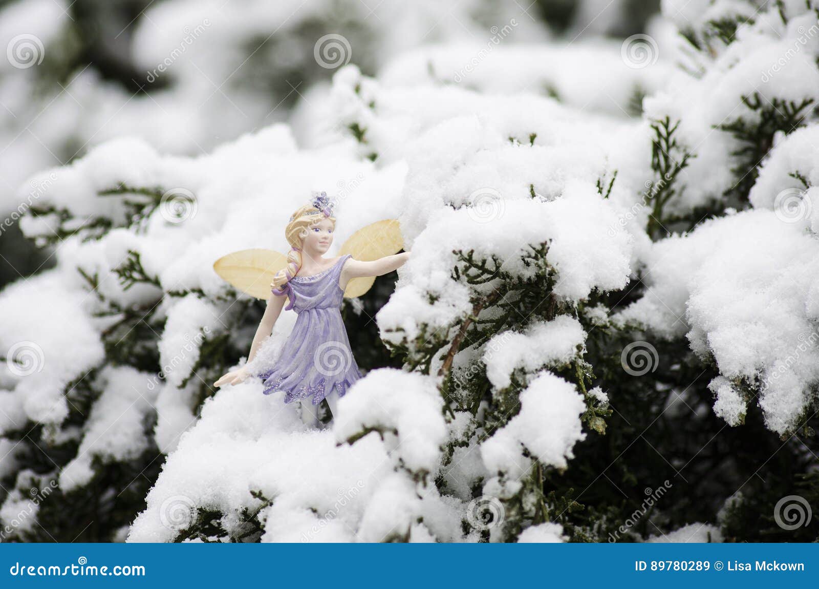Christmas Fairy stock image. Image of fresh, believe - 89780289