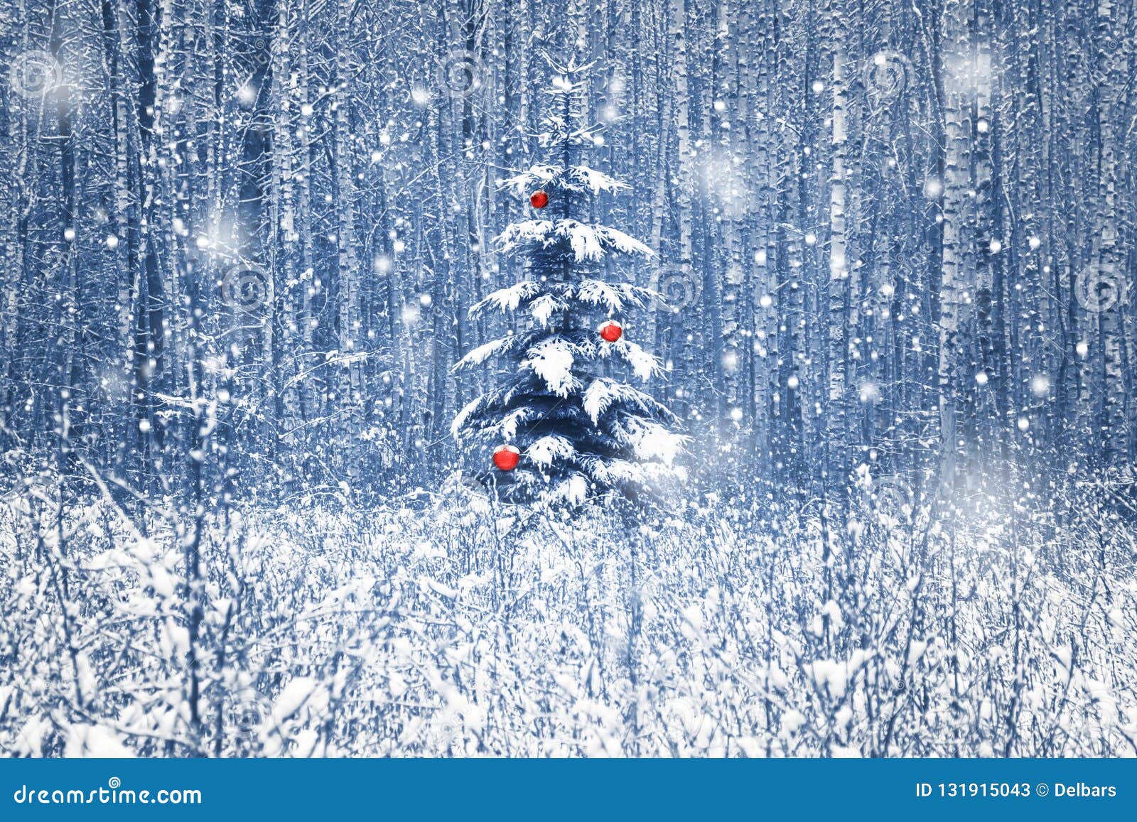 christmas fir tree with red christmas decorations in the winter snowy forest. blue toning.