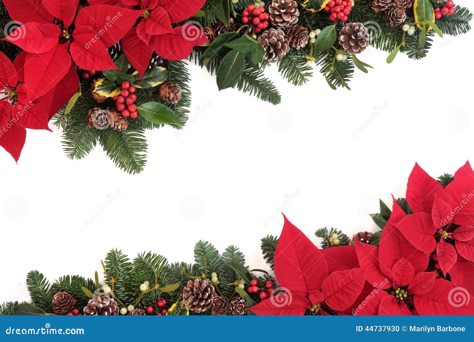 christmas ivy clipart - photo #49