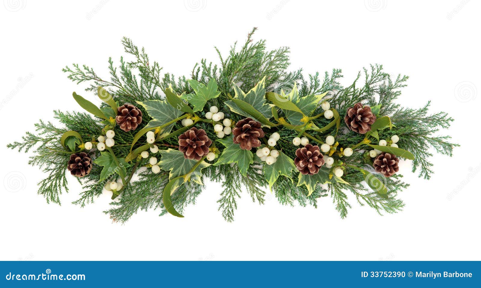 christmas ivy clipart - photo #21