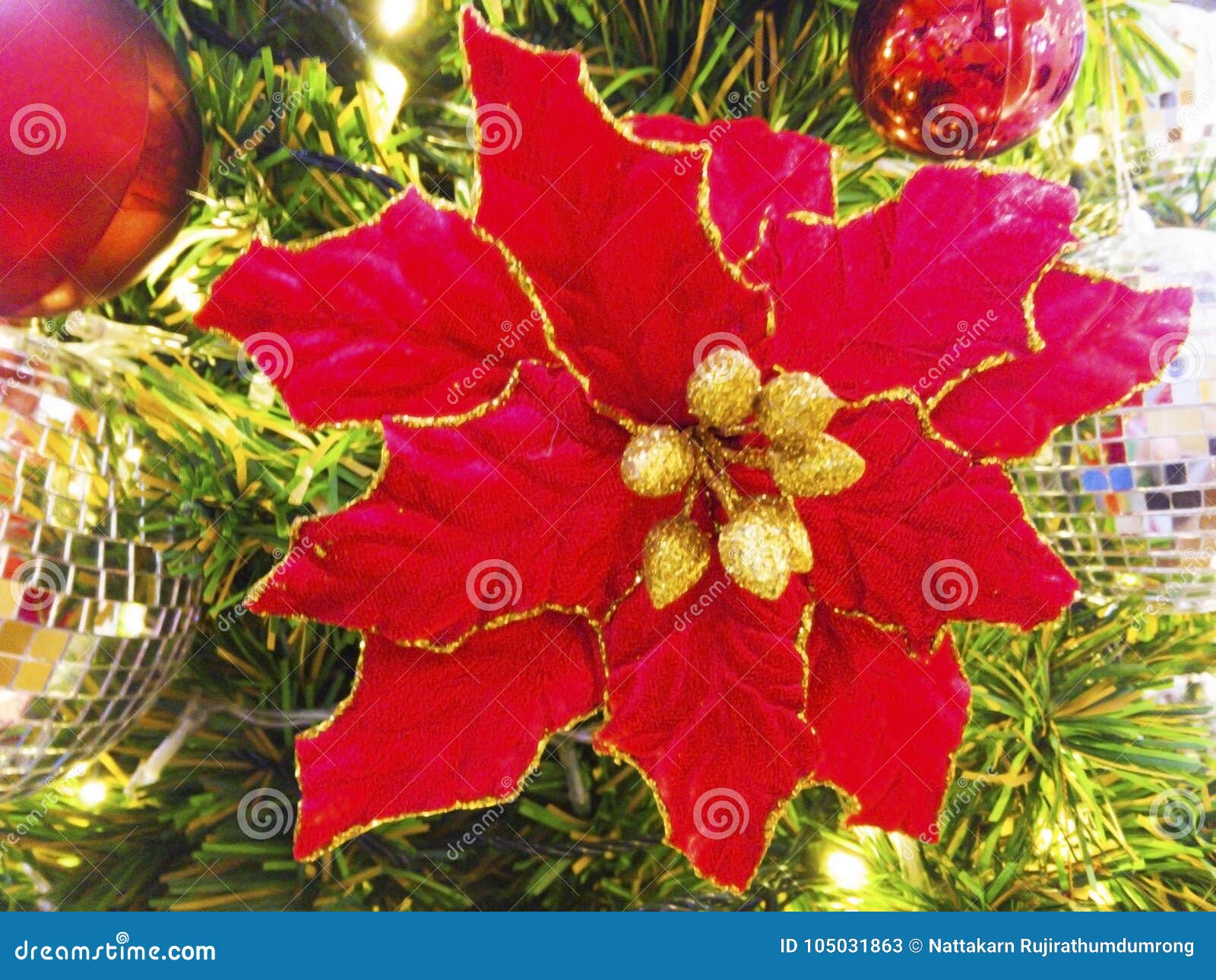 Christmas Flower is Decorated on Christmas Tree. Stock Image Image of