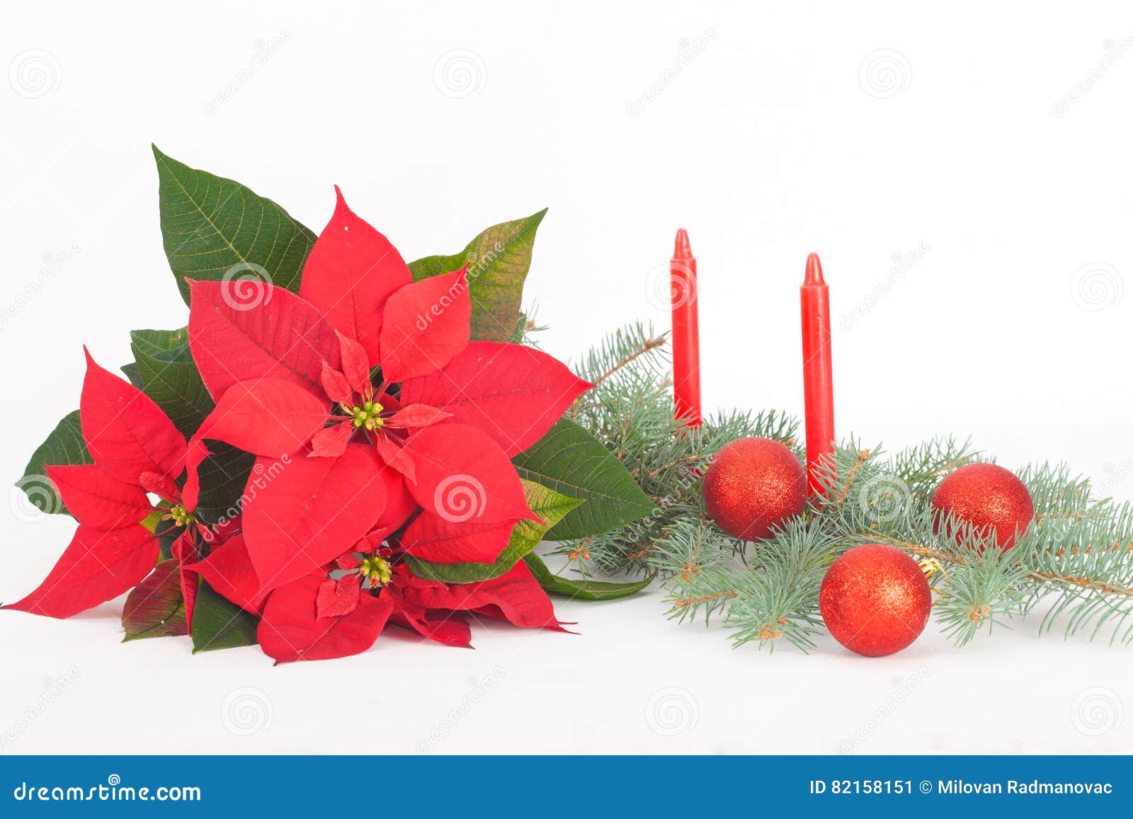 Christmas Flowers with Red Decoration Balls and Candles Stock Image ...