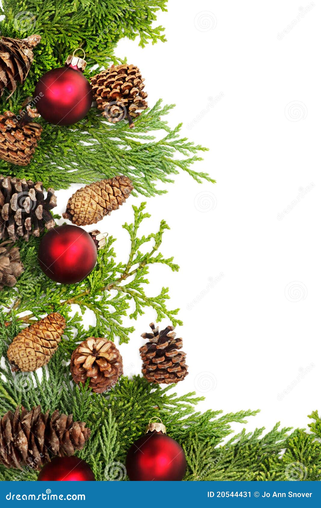 Christmas Foliage Decorations Border Stock Image - Image 