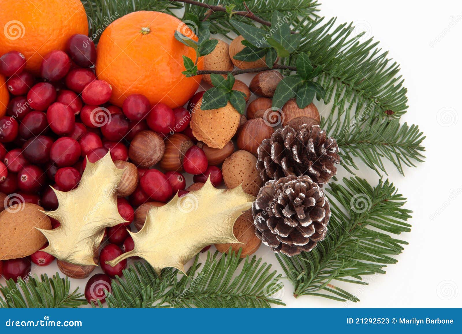 Christmas Fruit, Nuts and Fauna Stock Image Image of clementine, isolated 21292523