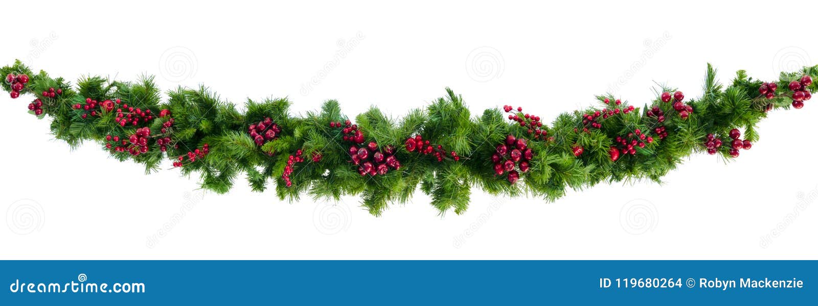 christmas garland with red berries  on white