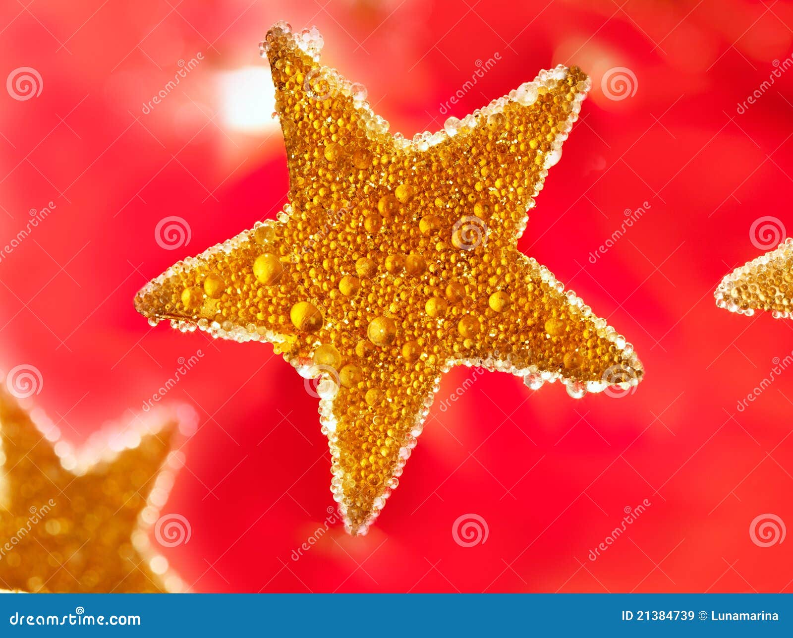 Christmas Golden Drops Star in Red Stock Image Image of festive