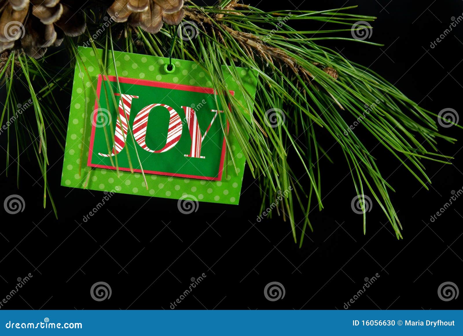 Christmas green card stock photo. Image of tradition 16056630