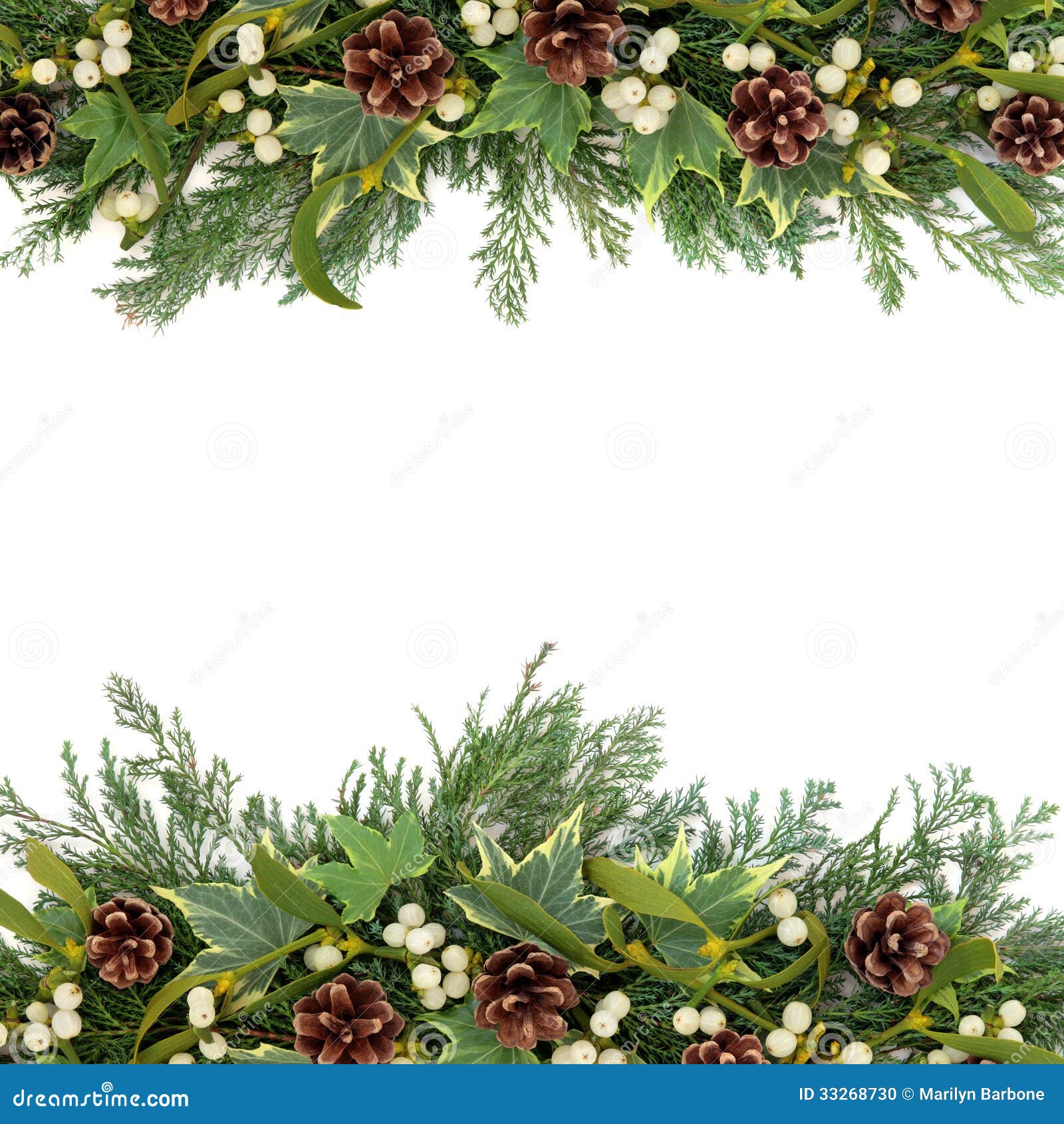 Christmas Greenery Border stock photo. Image of card - 33268730