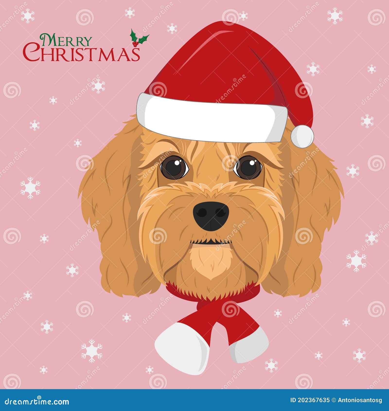 cavoodle dog with red santas hat and a woolen scarf for winter