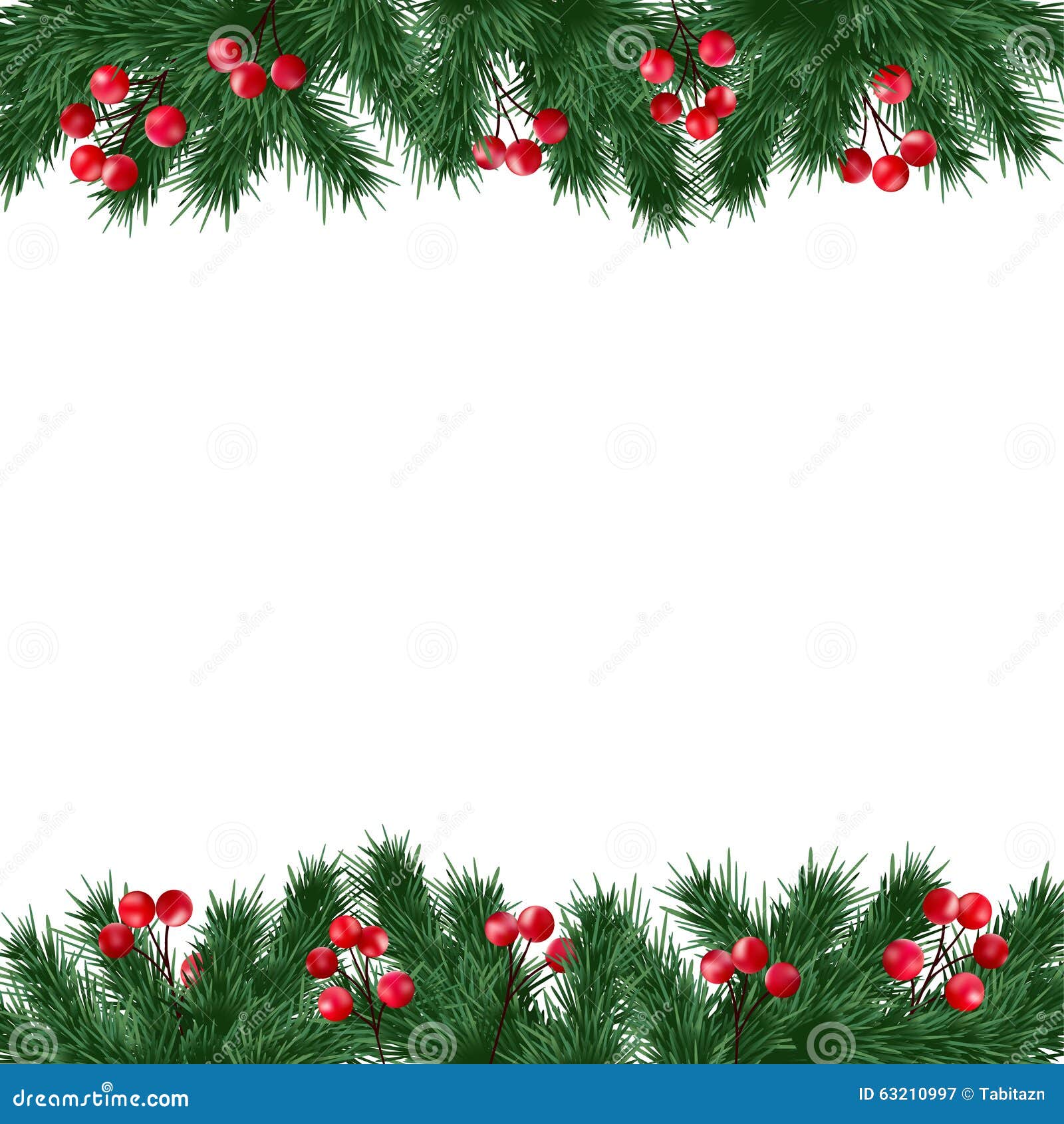 christmas greeting card, invitation with fir tree branches and holly berries border on white background