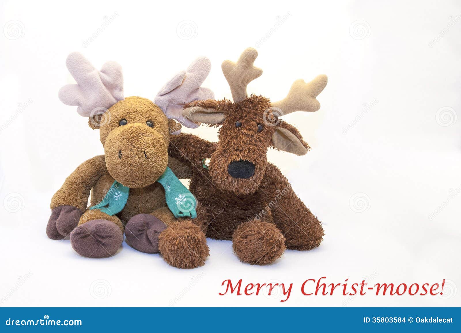 Christmas Greeting Card:Merry Christ-moose! Stock Images 